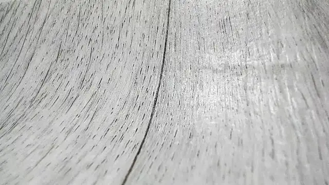 Snapshot of LittleSonya chatting on 12-15-25, 04:55 LittleSonya online show from 12-15-25, 04:55