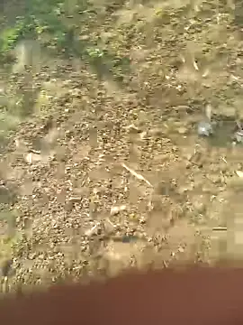 FinableKnee online show from 10-27-25, 05:11