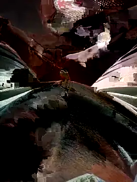 FinableKnee online show from 11-17-25, 03:56