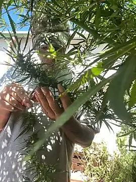 Alicbranca online show from 03-22-26, 03:26