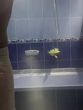 Arabien Pharaoh- online show from 03-20-25, 05:58