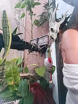 k lebannon online show from 02-20-25, 08:36