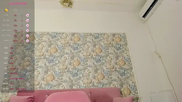 illegal lorry online show from 10-17-25, 04:59