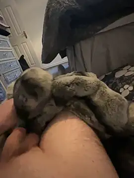 Furdale online show from 01-01-25, 03:46