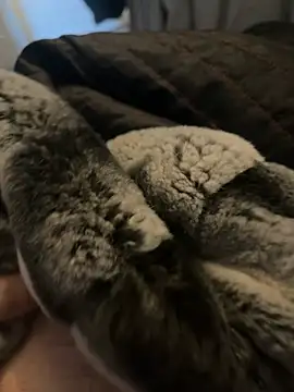 Furdale online show from 01-02-25, 12:35