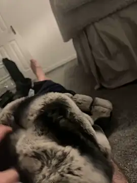 Furdale online show from 01-06-25, 04:55