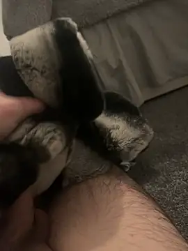 Furdale online show from 01-07-25, 05:20