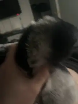 Furdale online show from 01-14-25, 03:26