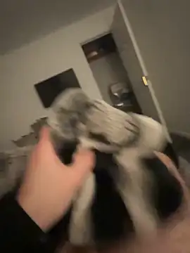 Furdale online show from 01-17-25, 05:19