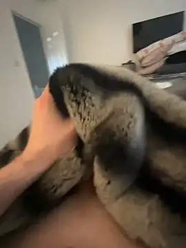 Furdale online show from 02-08-25, 09:46