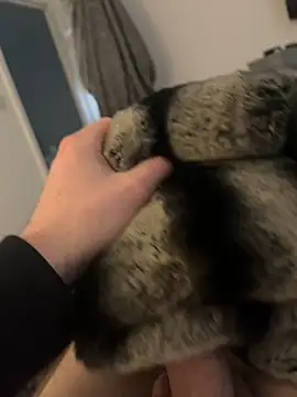 Furdale online show from 02-12-25, 02:54