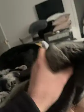 Furdale online show from 02-16-25, 02:32