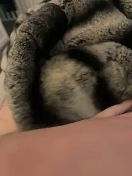 Furdale online show from 02-17-25, 03:09