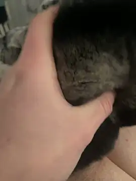 Furdale online show from 02-24-25, 01:21