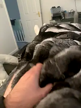 Furdale online show from 09-10-25, 04:29