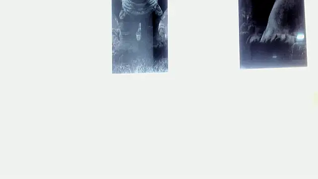 Snapshot of AlexRivera6 chatting on 03-17-25, 11:43 AlexRivera6 online show from 03-17-25, 11:43