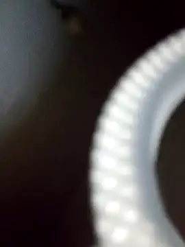 rodovlaz online show from 02-19-25, 12:35