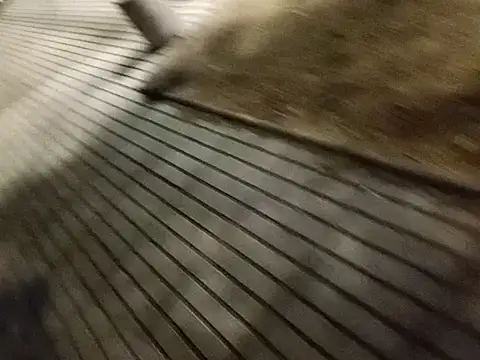 rodovlaz online show from 02-27-25, 12:32