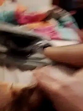 jon763 online show from 02-19-26, 09:16