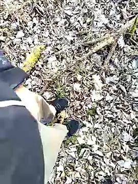 Boring one online show from 02-03-25, 02:55