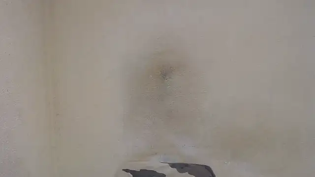 Snapshot of AlexNudo chatting on 12-31-24, 12:46 AlexNudo online show from 12-31-24, 12:46