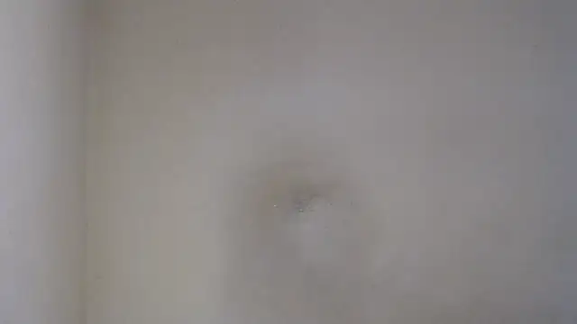 Snapshot of AlexNudo chatting on 02-26-25, 12:03 AlexNudo online show from 02-26-25, 12:03