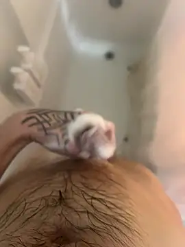 ThatTattooedGuy online show from 12-01-25, 08:52