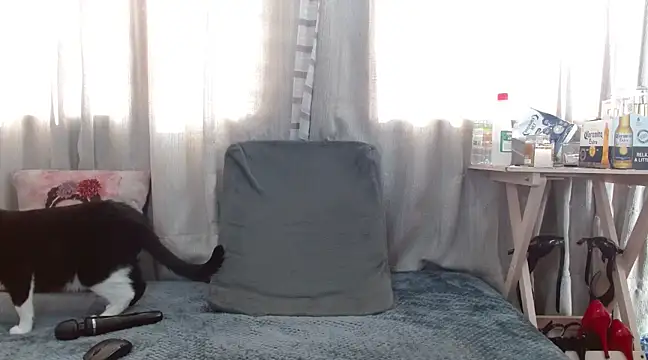 Boonny Boo01 online show from 02-01-25, 01:41