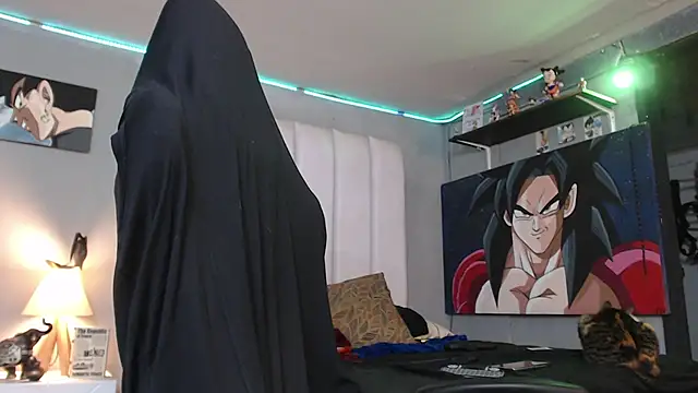 bardock 1 online show from 02-13-25, 03:50