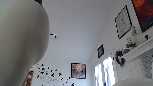 Snapshot of AuroraWillows chatting on 01-19-26, 03:16 AuroraWillows online show from 01-19-26, 03:16