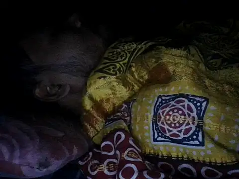 chittagong77 online show from 12-13-25, 09:53