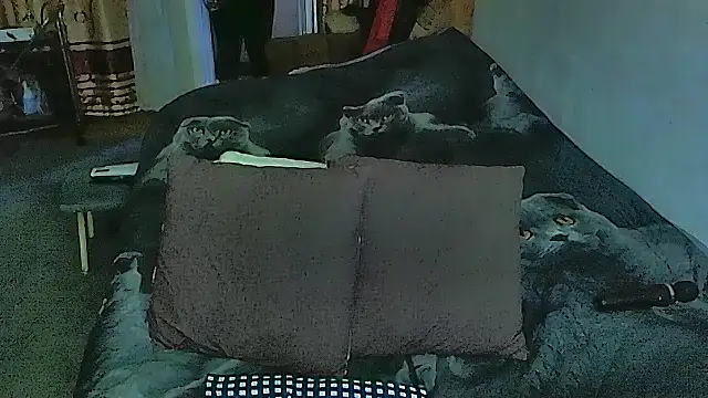 sex2 online show from 09-20-25, 10:55