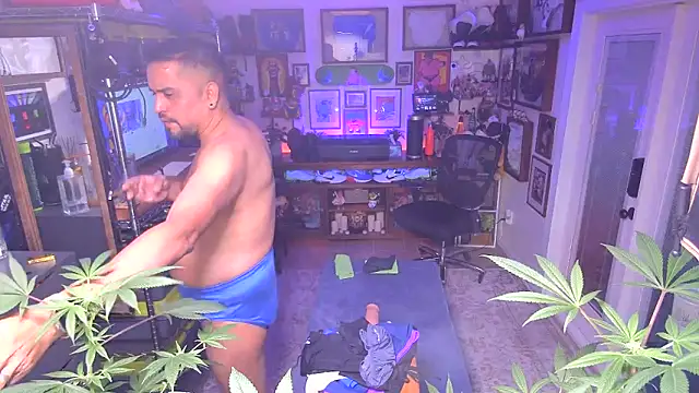 Briefs bud online show from 12-16-24, 03:19