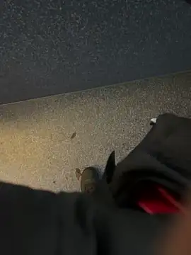 Snapshot of angelitasexy81 chatting on 12-15-25, 03:49 angelitasexy81 online show from 12-15-25, 03:49