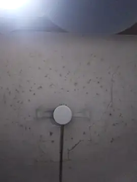 marie12345679 online show from 02-26-26, 01:15