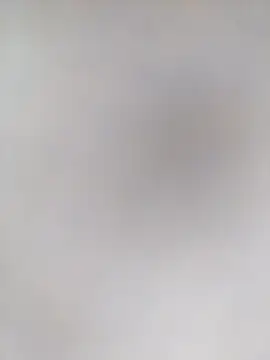 Pitercom online show from 11-16-25, 09:53