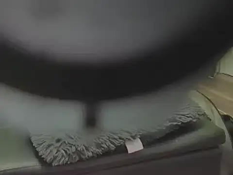 Snapshot of AwesomePapaya chatting on 11-27-25, 12:35 AwesomePapaya online show from 11-27-25, 12:35