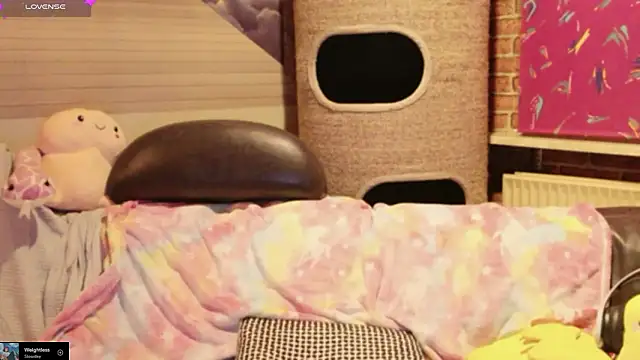 GamerGirl Eve online show from 01-12-26, 06:46