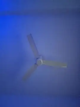 monabhabi22 online show from 02-24-25, 11:32