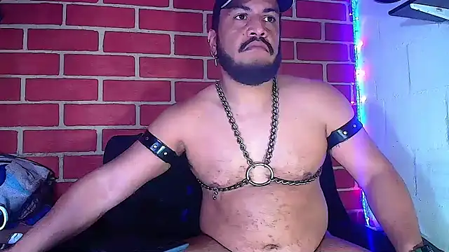 the master foal  online show from 01-10-25, 05:26