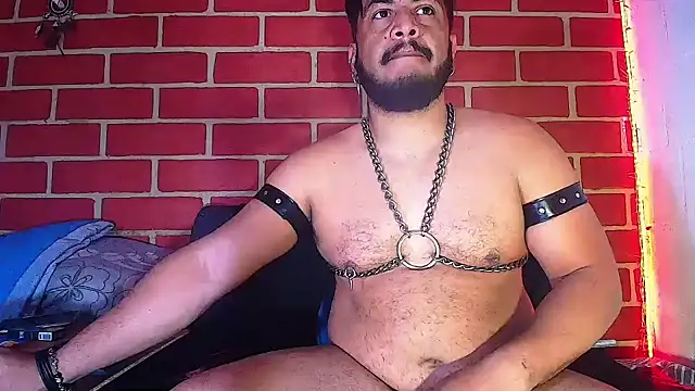 the master foal  online show from 02-04-25, 10:00