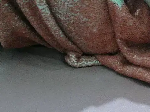 FUN4TIPS online show from 03-01-25, 07:26