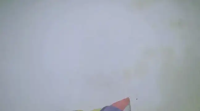 h0ney lips online show from 01-28-25, 10:23