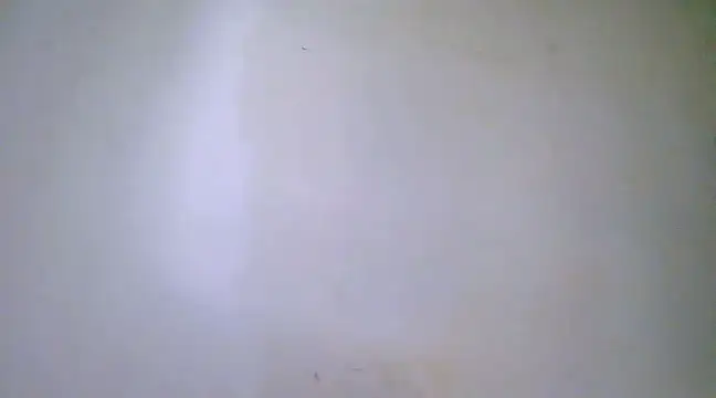 h0ney lips online show from 02-23-25, 12:30