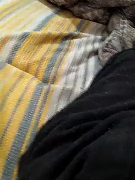 Yaramaz331 online show from 03-09-25, 06:39