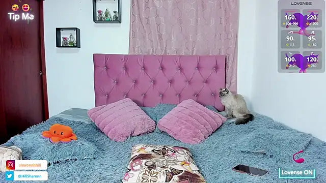 sharon hill online show from 10-03-25, 02:19