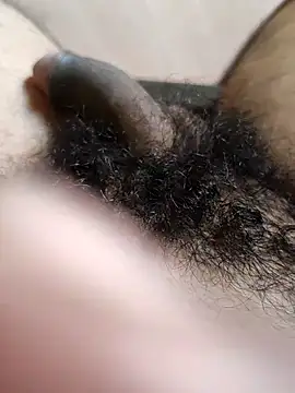 Honestguy100 online show from 11-08-25, 05:29