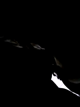 Snapshot of 74bob chatting on 09-21-25, 04:25 74bob online show from 09-21-25, 04:25