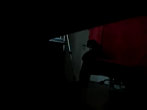 leccaleccafiga online show from 02-10-25, 09:36