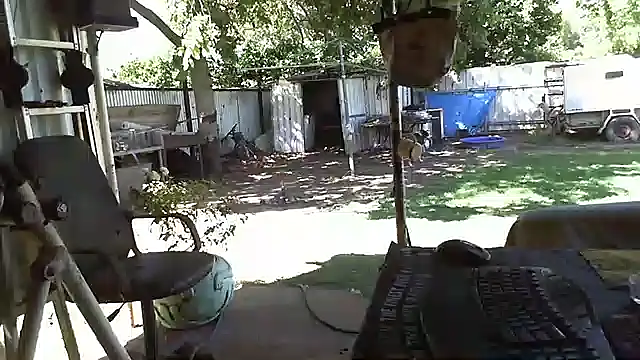 herbie010666 online show from 01-17-25, 05:11